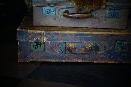 Aging